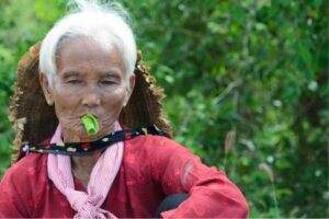 Manfaat Daun Sirih untuk Kesehatan Mulut