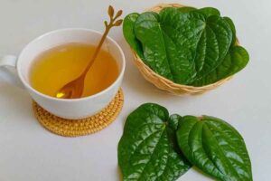 Manfaat Berkumur dengan Air Daun Sirih untuk Kesehatan Mulut – Copy