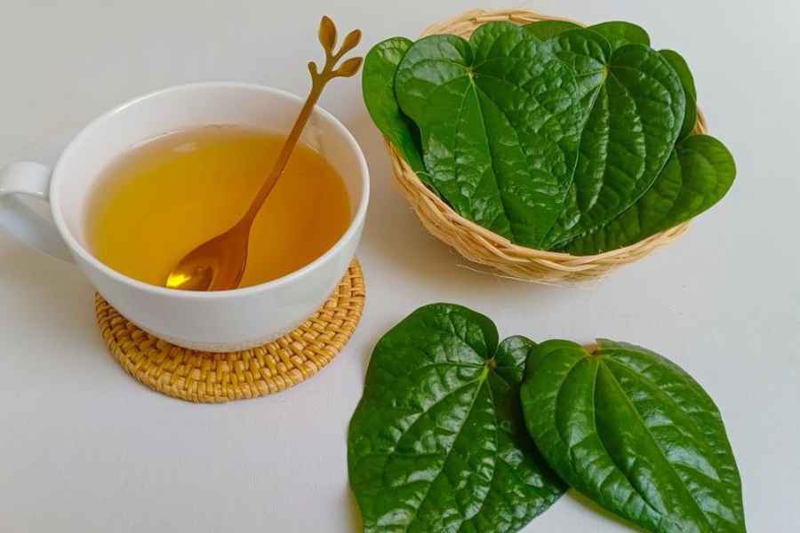 Manfaat Berkumur dengan Air Daun Sirih untuk Kesehatan Mulut – Copy